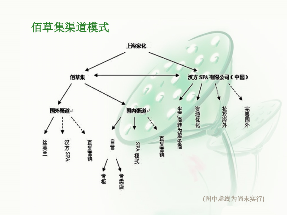 管理咨询佰草集中草药系列ppt护理产品销售渠道分析讲解报告书课件_第4页