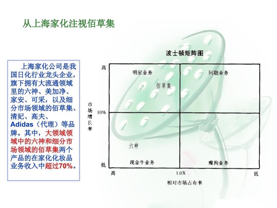 管理咨询佰草集中草药系列ppt护理产品销售渠道分析讲解报告书课件_第5页