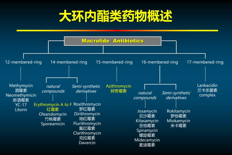 大环内酯类药物的非抗菌效应ppt课件_第3页