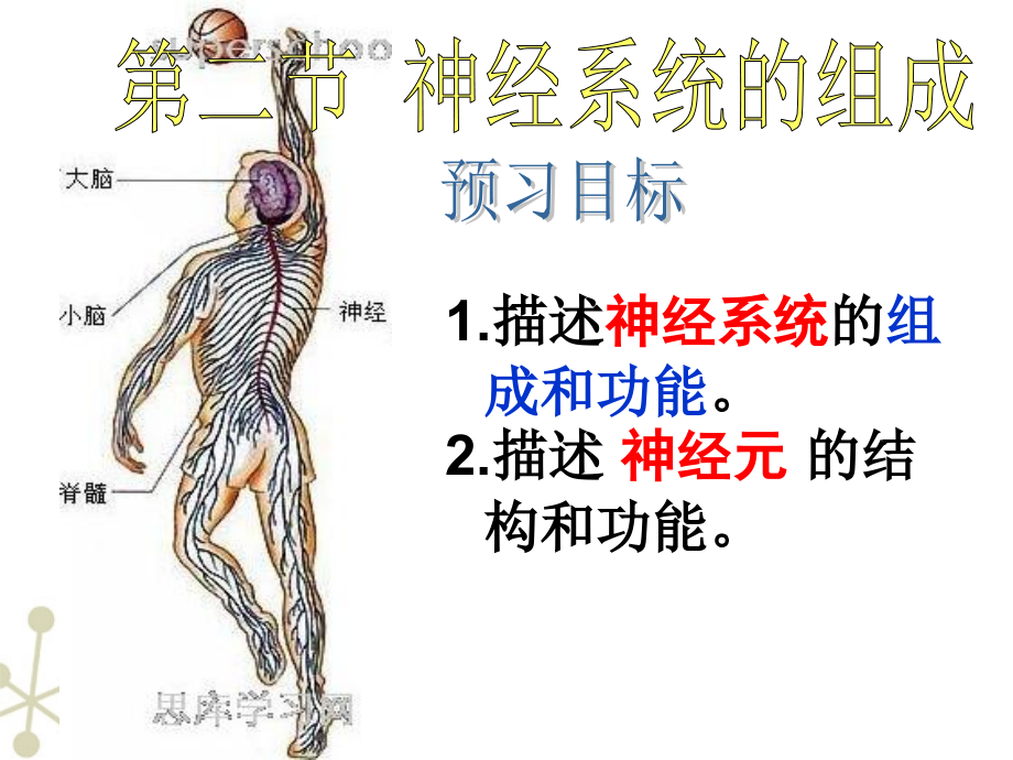 神经系统的组成课件人教新课标版ppt课件_第3页