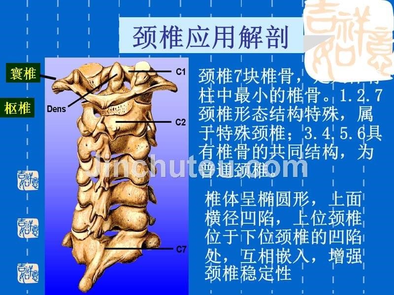 颈椎病_  ppt课件_第5页