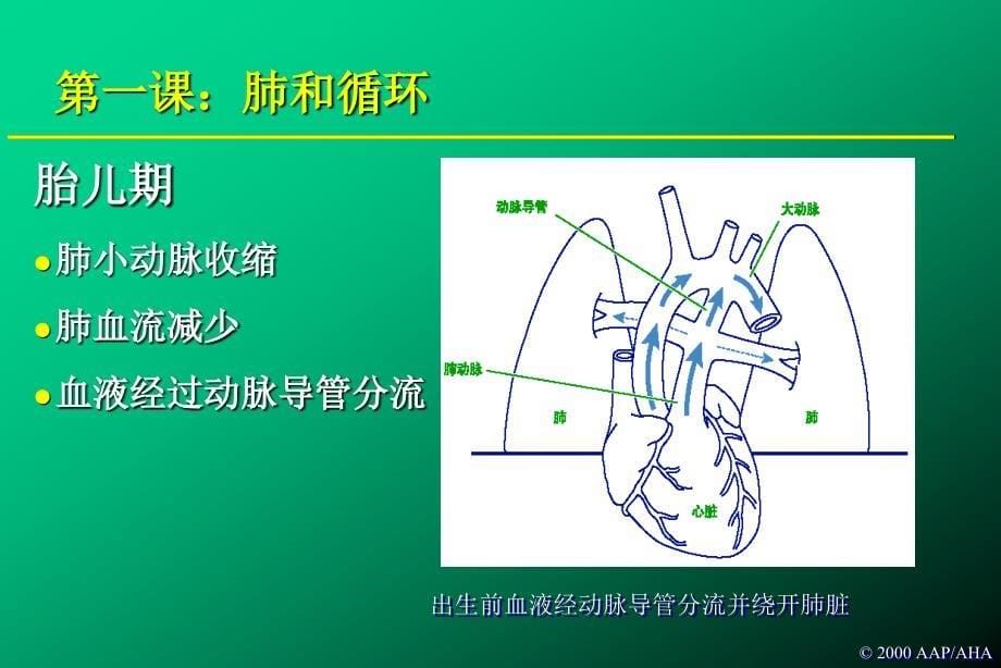 概述与复苏原理ppt课件_第5页