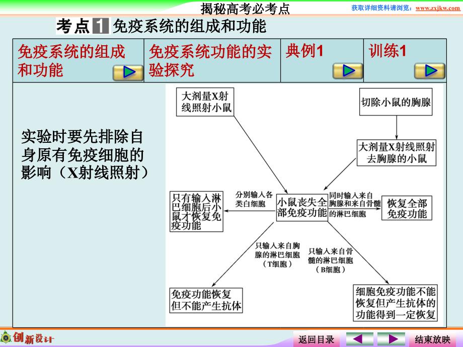 免疫调节一轮复习课讲解课件_第4页