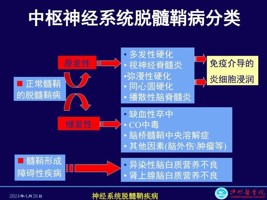 医药卫生神经系统脱髓鞘疾病2011课件_第5页