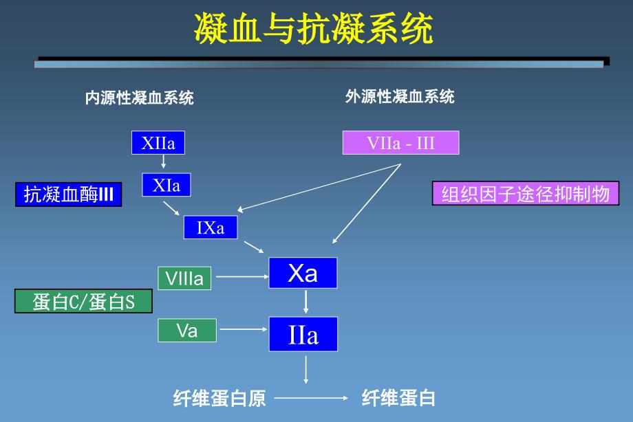 肝素抗凝机制及与lmwh的区别ppt课件_第4页