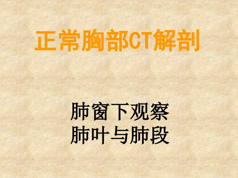 肺分叶与分段解剖ppt课件_第1页