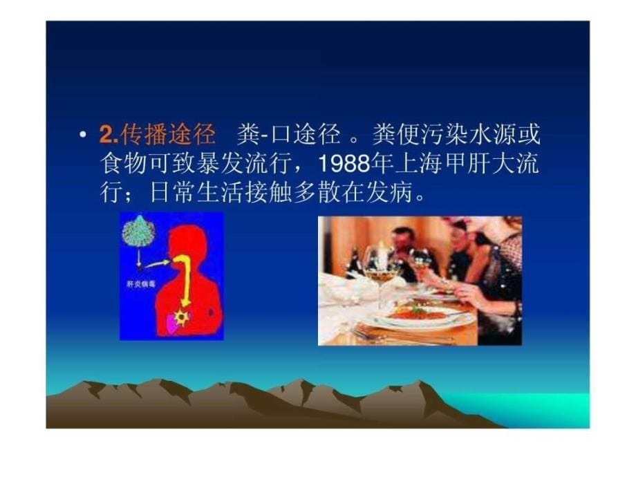 病毒性肝炎课件ppt图文_1_第5页