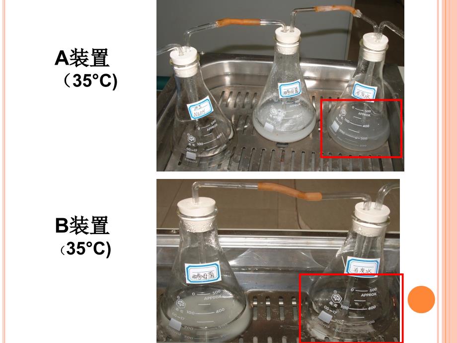 呼吸作用_ 定稿课件_第2页