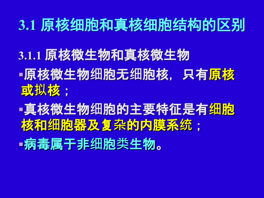 环境工程微生物学真核微生物_第4页