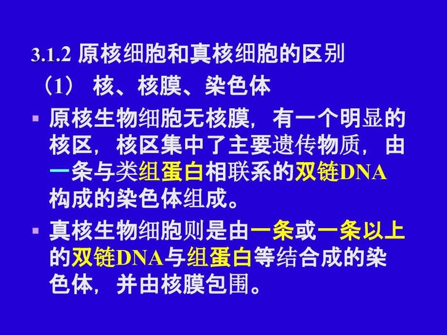 环境工程微生物学真核微生物_第5页