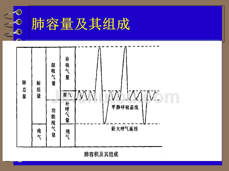 肺功能检查及其临床应用讲解课件_第4页