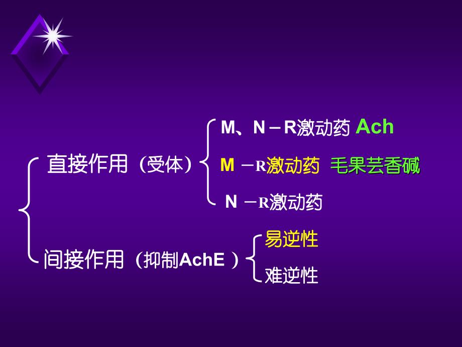 胆碱受体激动药ppt课件_第3页