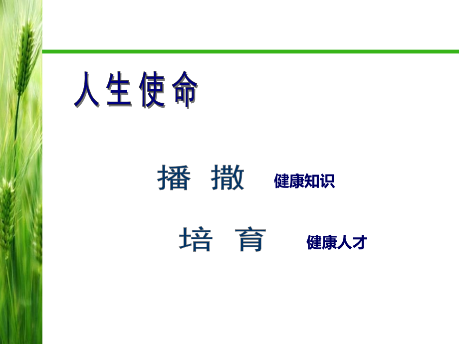 各类烹饪食物营养ppt资料讲解课件_第2页