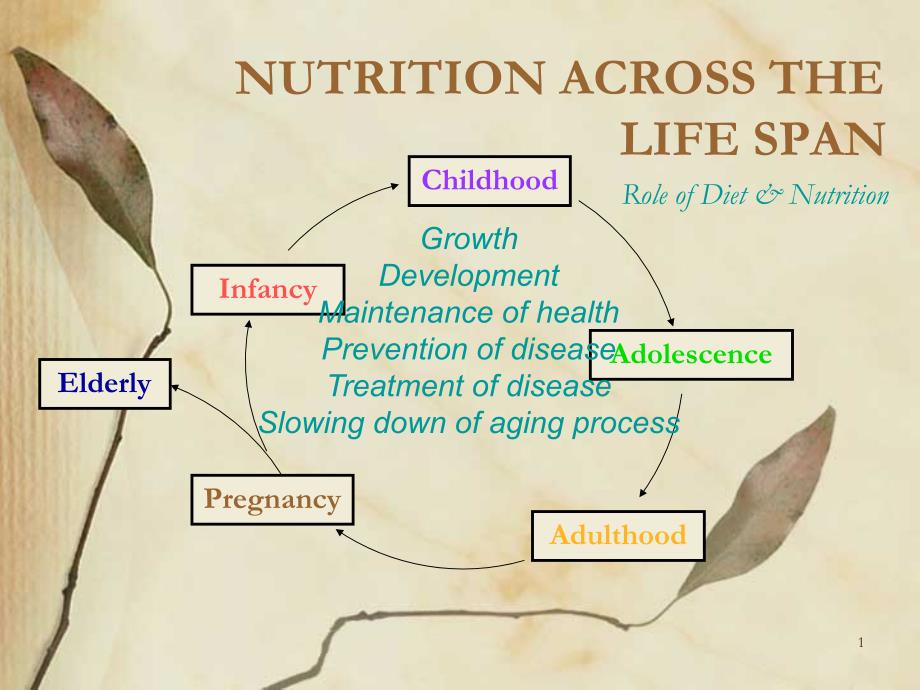 国外的营养学课件3nutrition_across the life _第1页