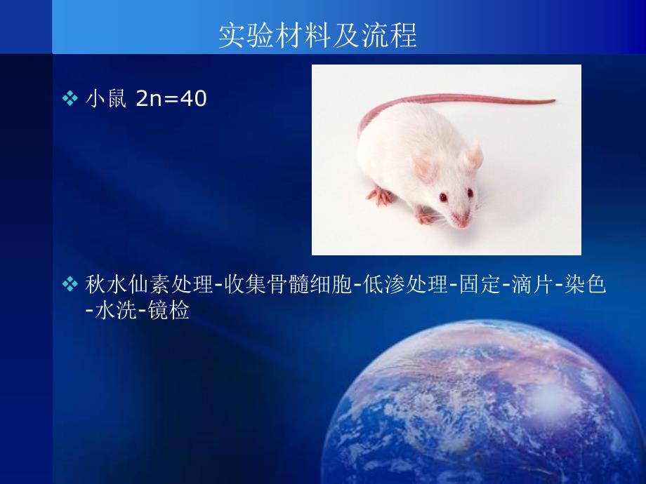 遗传实验4小鼠骨髓染色体课前讲解_1课件_第3页