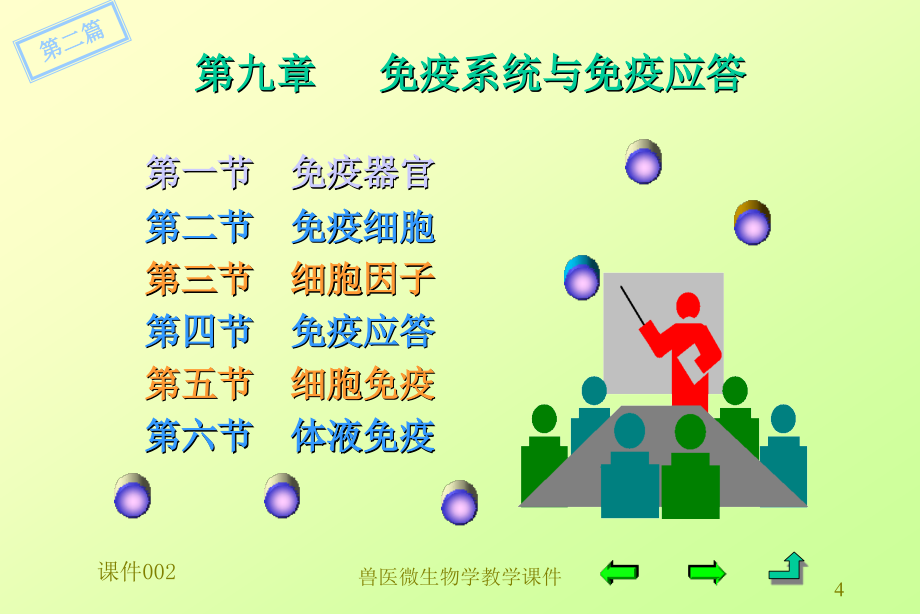 兽医微生物学免疫系统与免疫应答课件_第4页