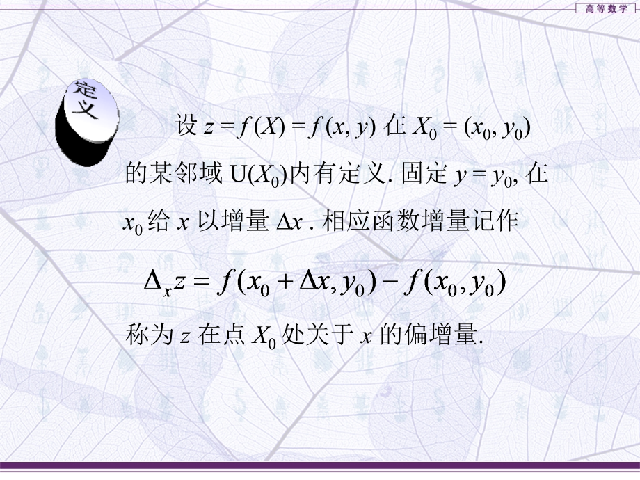 高等数学（二） 多元函数的偏导数 ppt课件_第3页