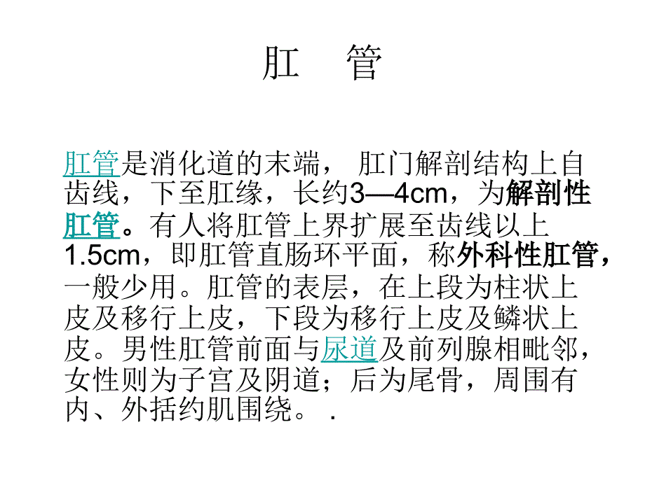 肛门直肠解剖ppt课件_第2页