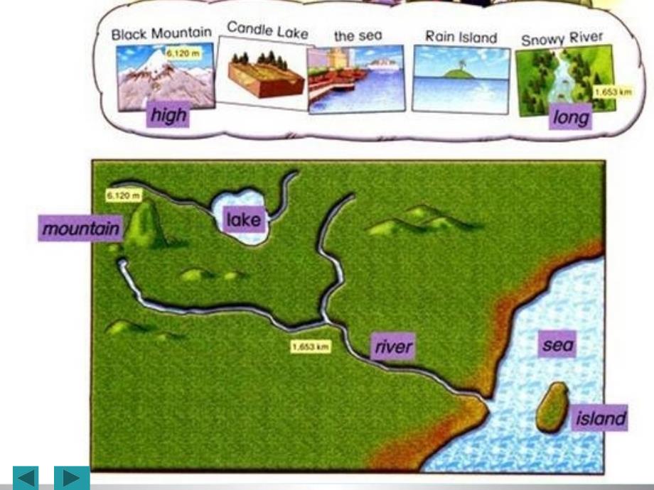 六年级上英语课件the natural worldunit2深港朗文版_第4页