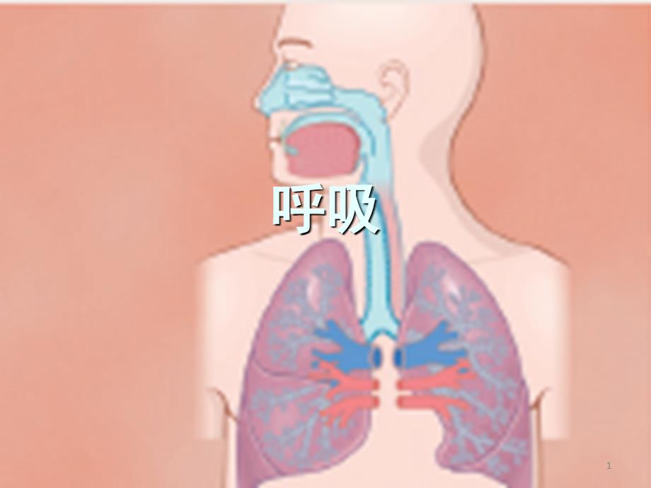 生理学呼吸 护理（医学）_第1页