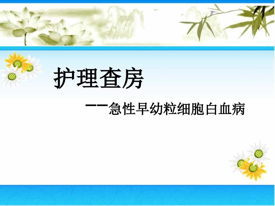 急性早幼粒白血病护理查房课件_第1页