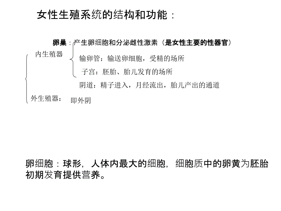 人教版七年级生物下复习提纲课件_第4页