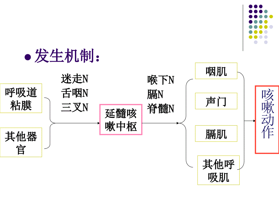 诊断学症状学课件_第4页