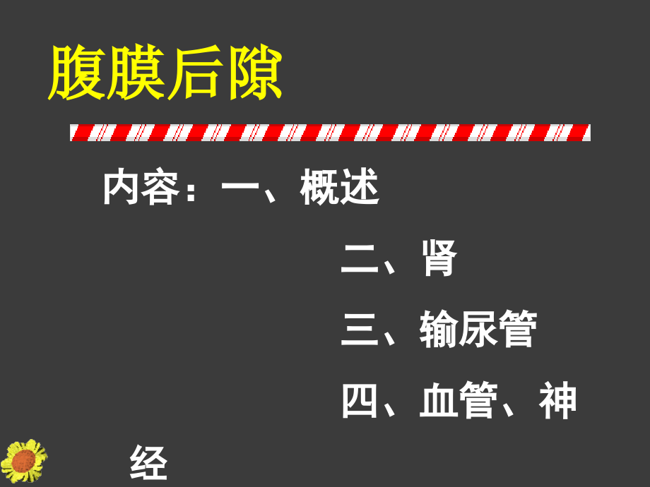 腹膜后隙最新课件_第2页