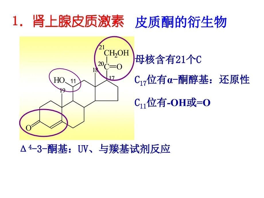 肾上腺皮质激素与性激素课件_第5页