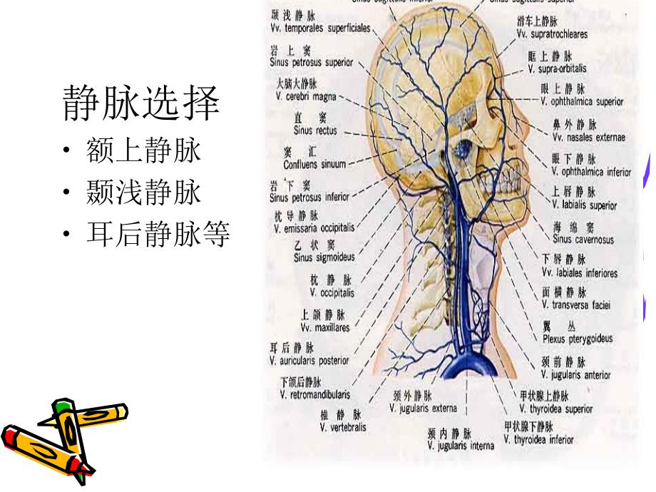 小儿头皮静脉输液 （2）课件_第3页