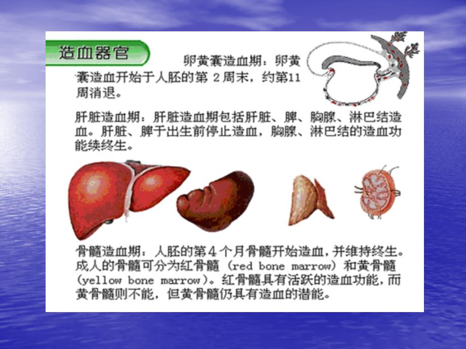 药物对血液系统的毒性作用医学_第4页