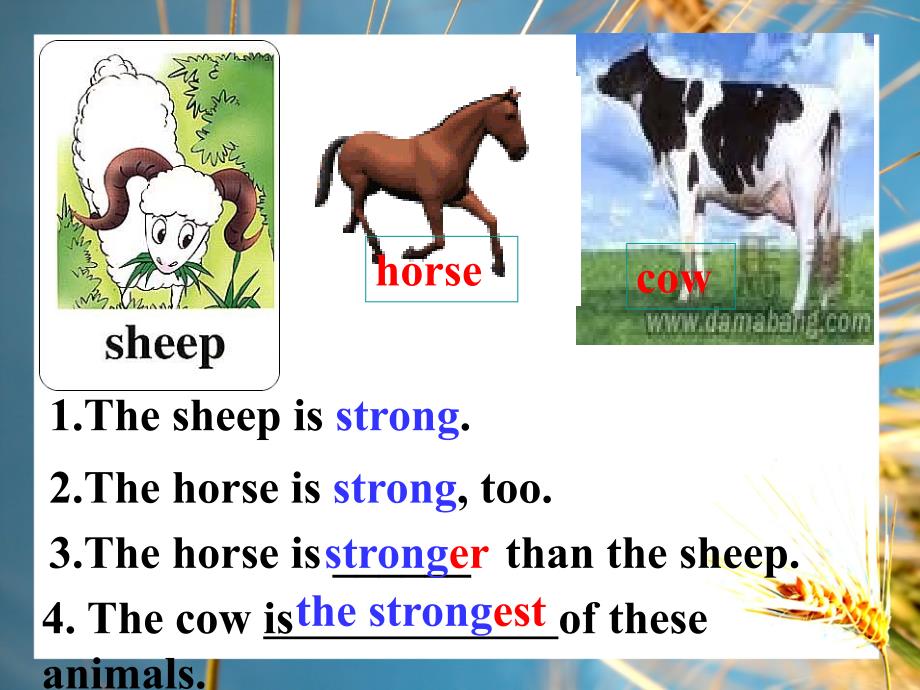 《unit 4 our worldtopic 1 whats the strongest animal on t课件》初中英语科普版八年级上册_第2页