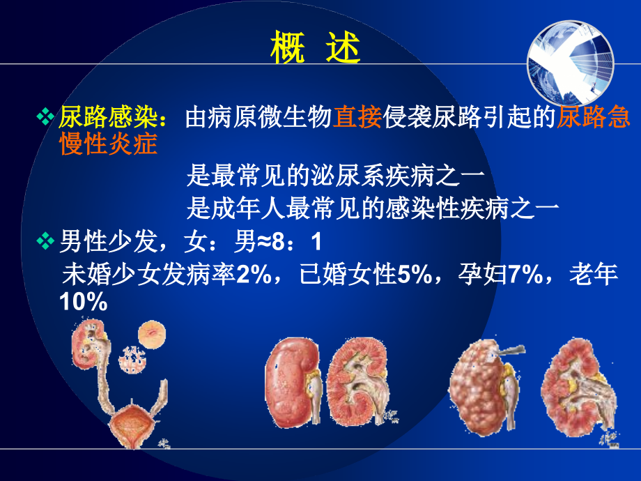 尿路感染护病人的护理_第3页