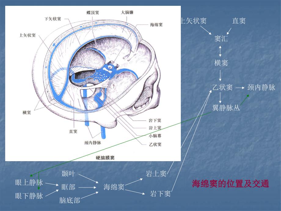 海绵窦综合征等课件_第3页