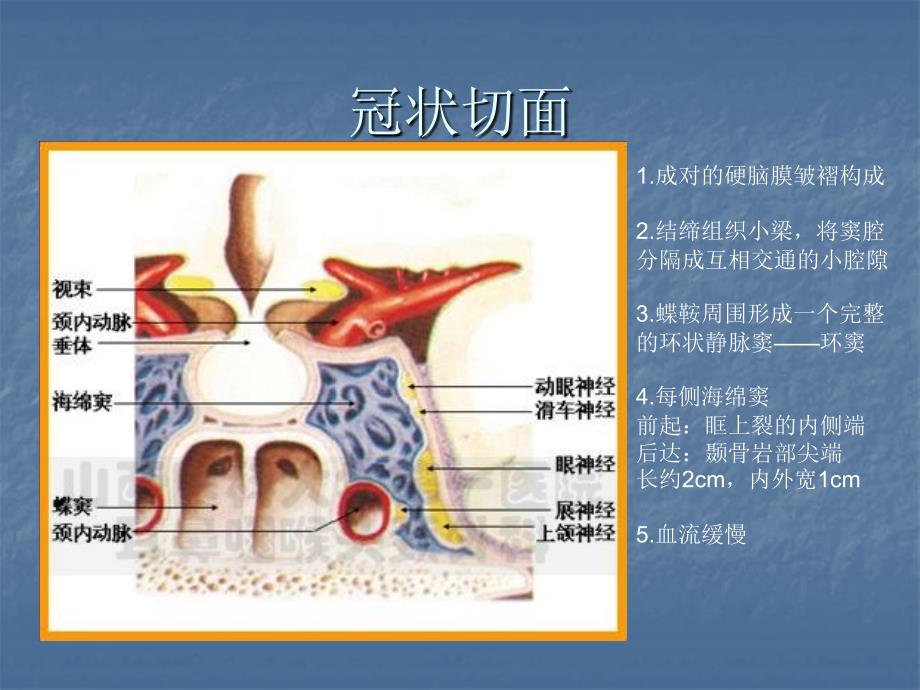 海绵窦综合征等课件_第4页