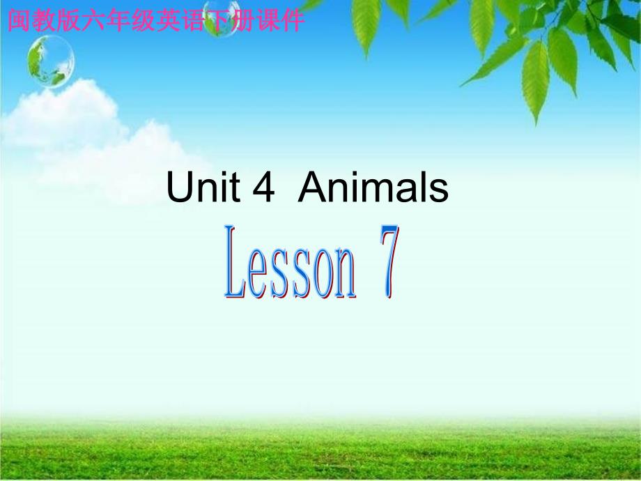 六年级英语下册unit4 animals lesson7课件 闽教版_第1页