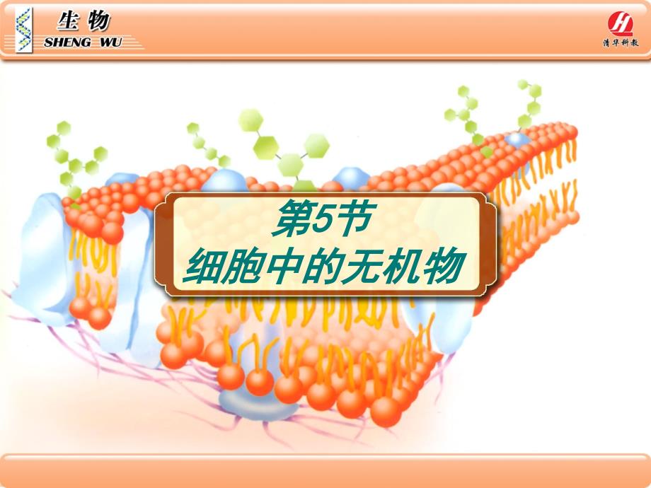 清华科教高中生物人教版必修一25《细胞中的无机物》课件26张_第1页