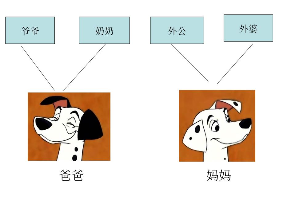 《我的家课件》小学品德与生活教科2001课标版一年级上册课件_第4页