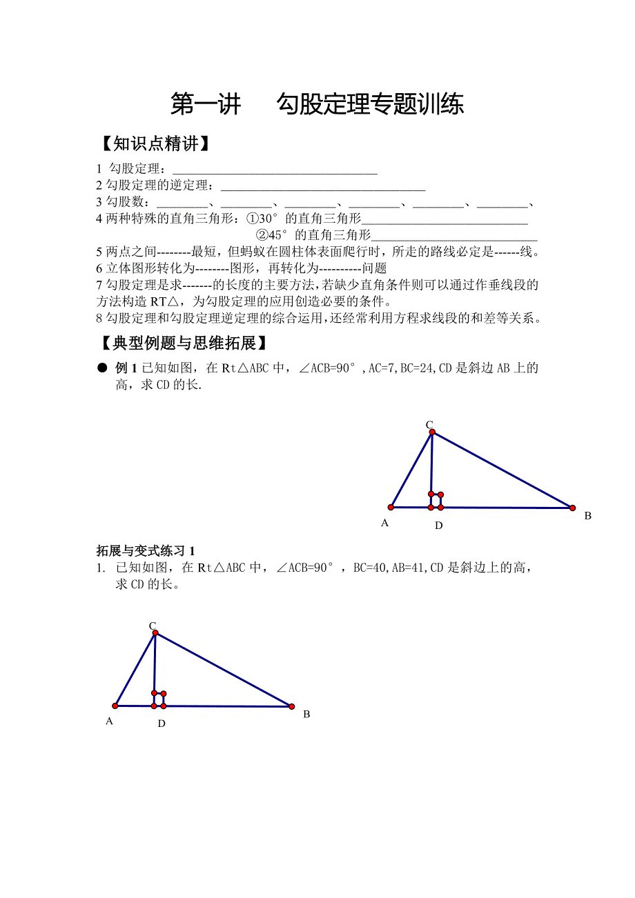 勾股定理(专题训练)_第1页