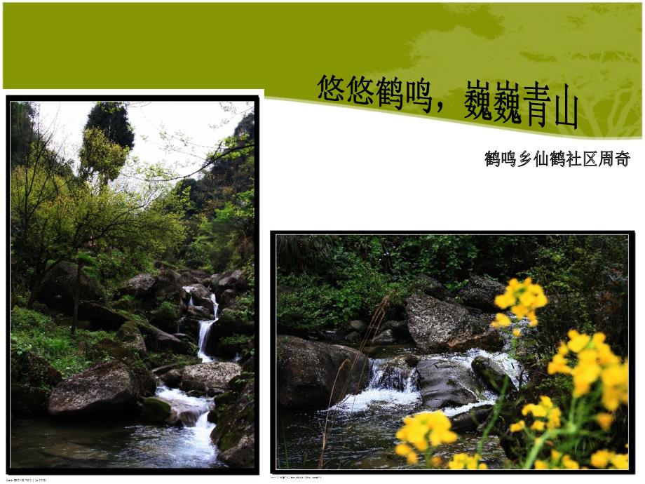 悠悠鹤鸣巍巍青山_ 鹤鸣乡仙鹤社区周奇_第1页