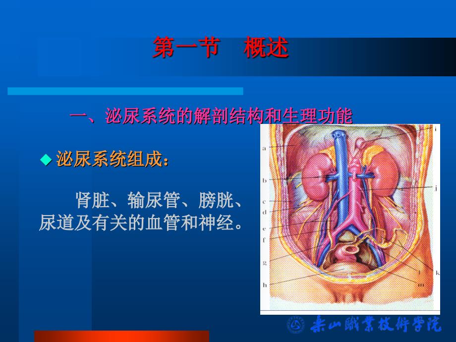 医学ppt课件泌尿系统疾病病人的护理_第3页