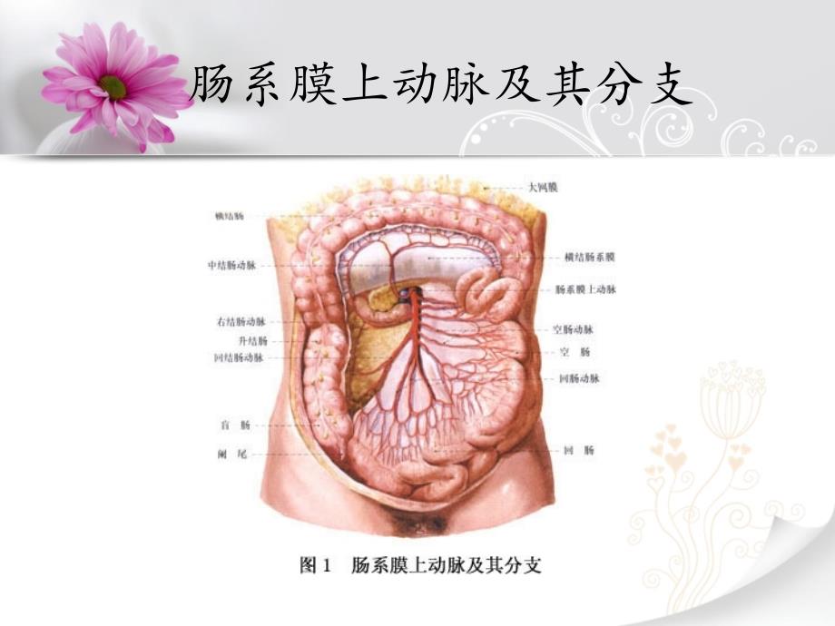 四月份护理查房课件_第4页