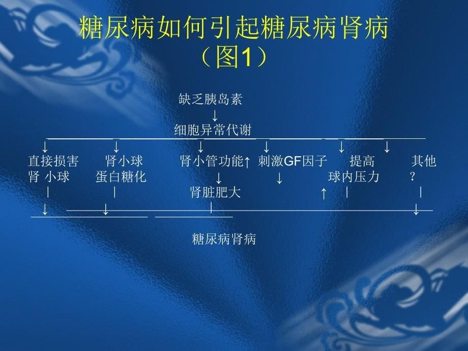 糖尿病肾病北京大学课件_第5页