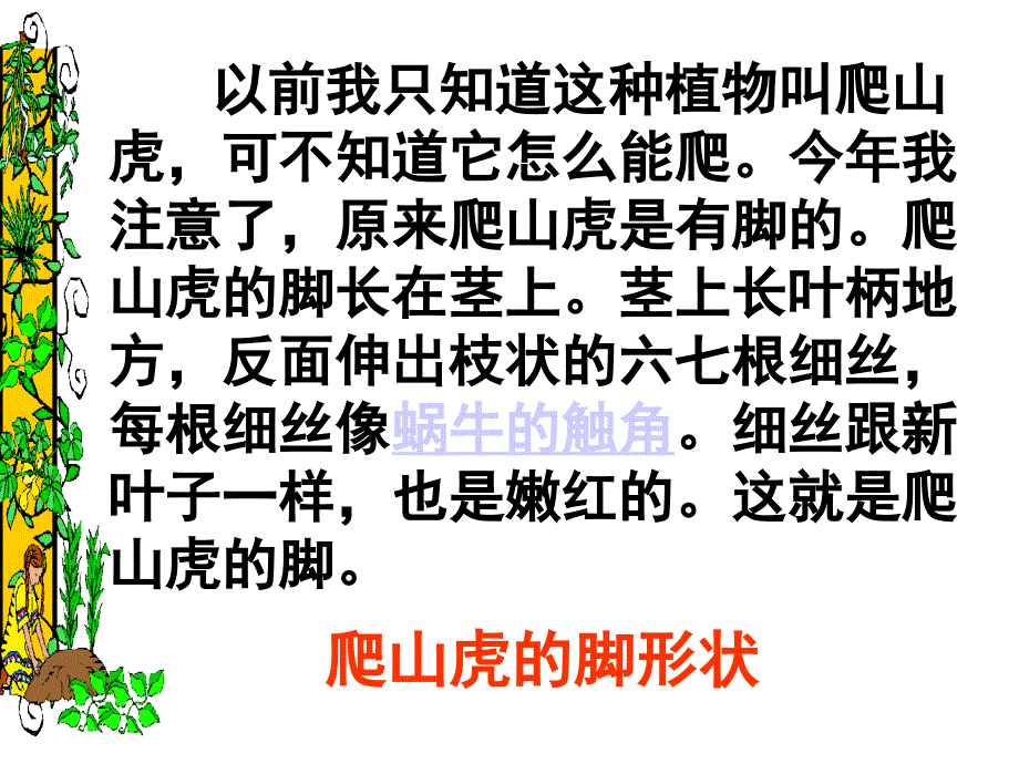 《爬山虎的脚》第二课时 pt课件_第3页