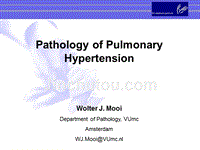 高血压英文ppt精品课件 pathology of pulmonary 