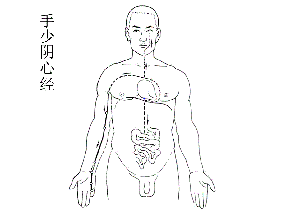 中医脉络图 ppt课件_第4页