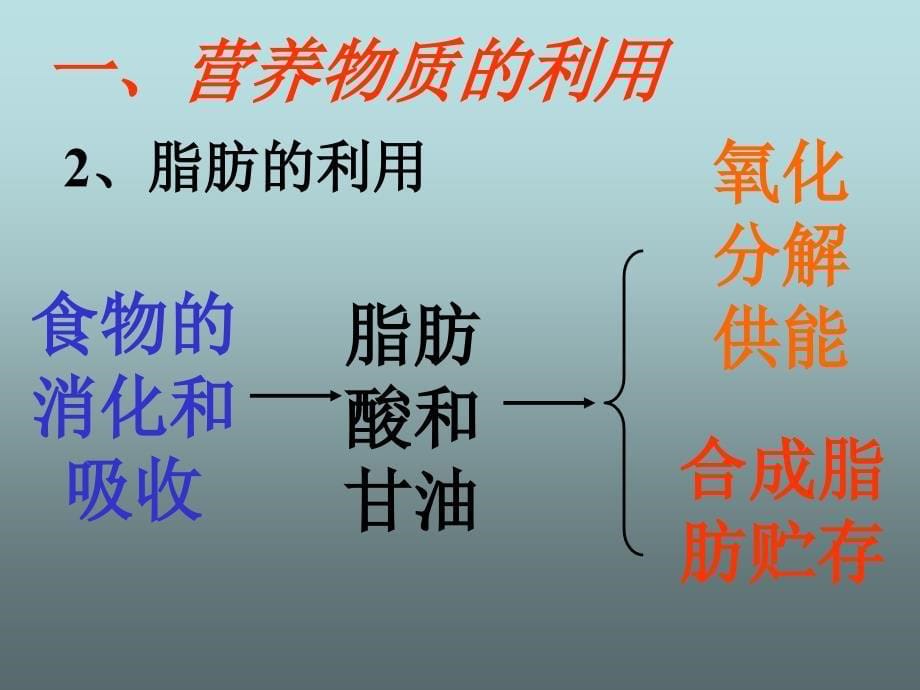 【医学课件大全】体内物质的动态平衡_第5页