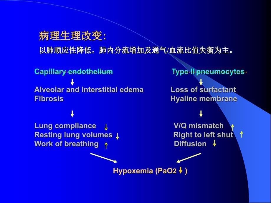 【医学课件大全】急性呼吸窘迫综合征研究进展_第5页