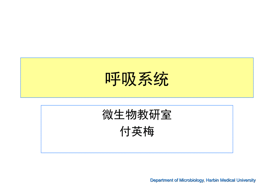 结核课件-分枝杆菌属.ppt_第2页