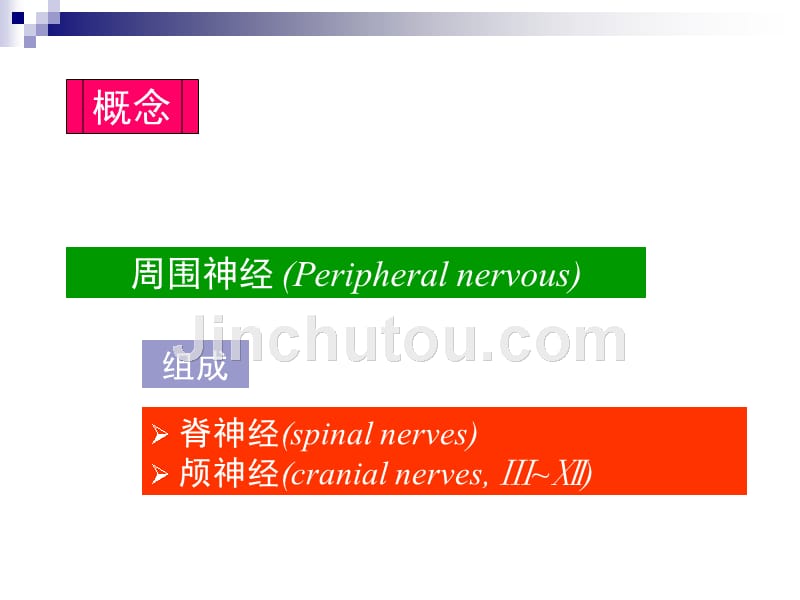 周围神经 运动、感觉系统_ppt课件_第2页